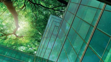 Article: Leading the Energy Transition 