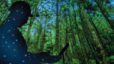 Aspen Mtell Delivers Higher Throughput, Greater Asset Availability and Lower Maintenance Costs for Veracel 