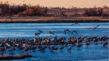 City of Grand Island, Nebraska Reduces Overhead Costs Using Digital Subscription-Based OMS Application 