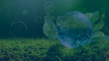 Webinar: How are your industry competitors navigating the energy transition?