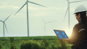 Sustainability, Decarbonization and Industry Initiatives: Survey Findings and Analysis 